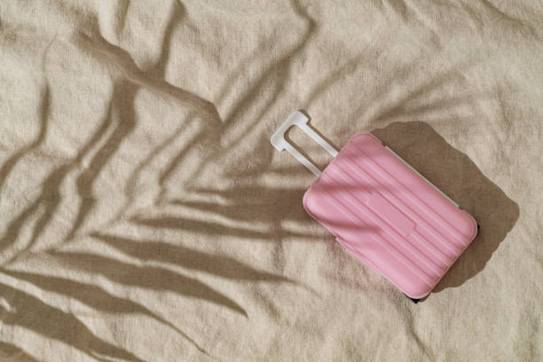 تصویر 2 از چمدان مسافرتی هارد کیس ضد ضربه برند